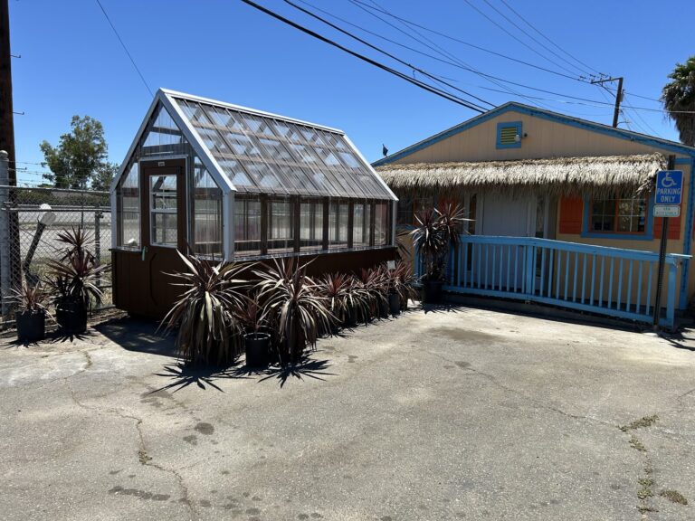 Greenhouse for sale at Palm Island Nursery in Vacaville